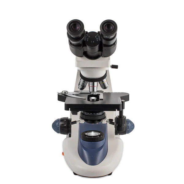 VE-B5-1_792ed144-fcfd-4354-a6f0-bd219528da66